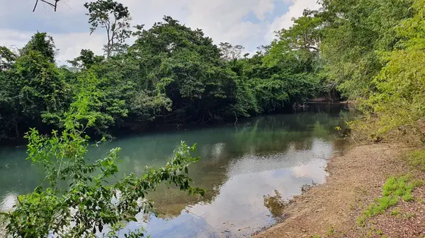 Esperanza Road, Big Falls,