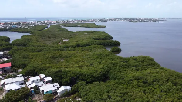 North of Rio De San Pedro', San Pedro, Caye
