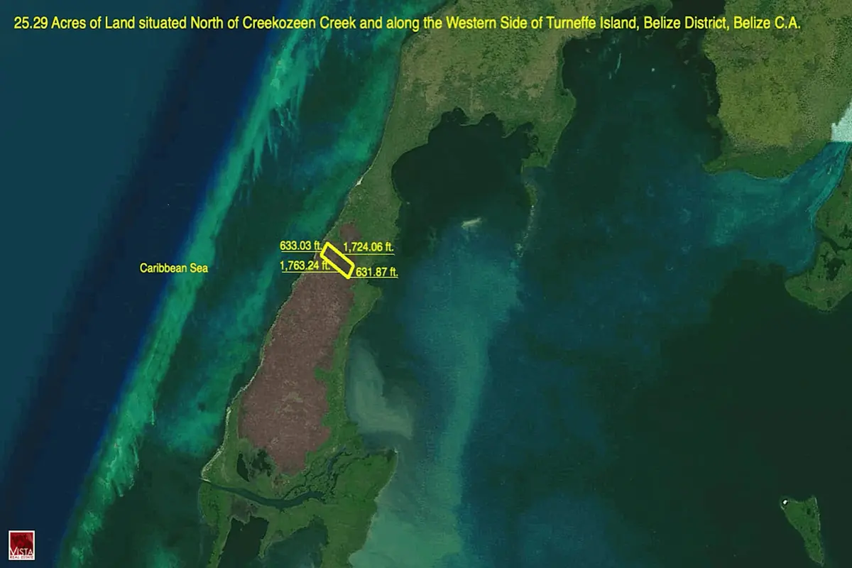 North of Creekozeen Creek, Turneffe Islands, Reef