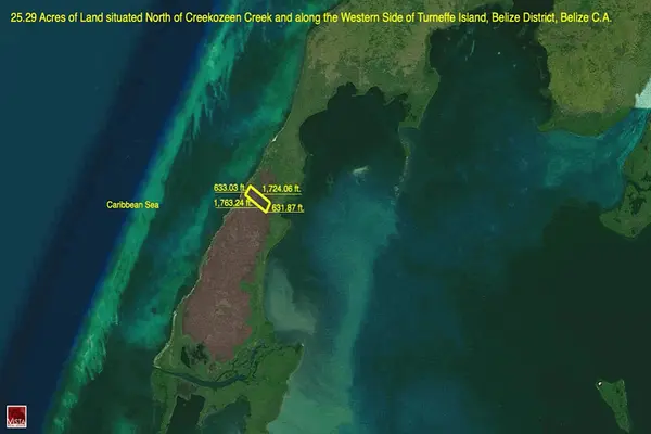 North of Creekozeen Creek, Turneffe Islands, Reef