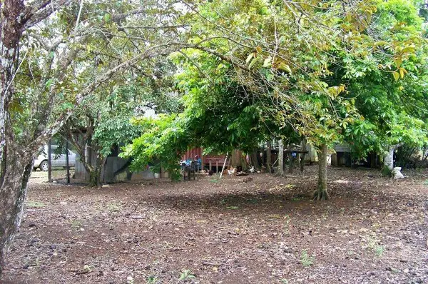 Belize District, Spanish Lookout,