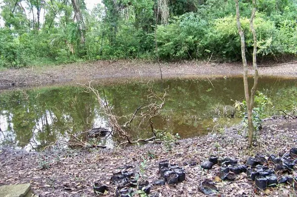 Belize District, Spanish Lookout,