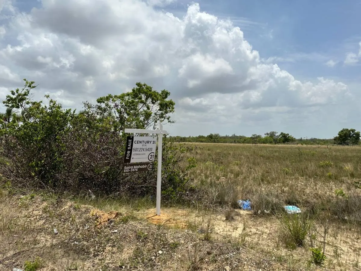 123 Burrell Boom, Belize District,
