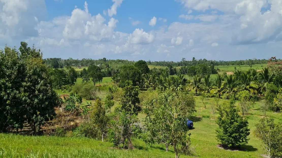 Los Tambos, Cayo,