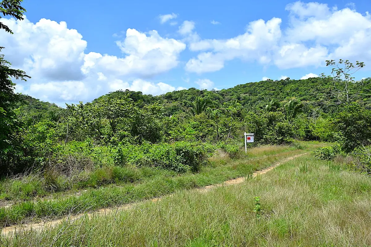 Pook's Hill St., Lomas De Las Flores,