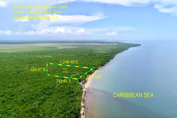 Along the Sea Coast, Monkey River,