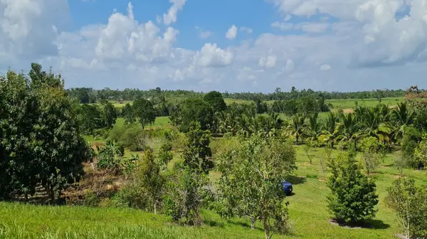 Los Tambos, Cayo,