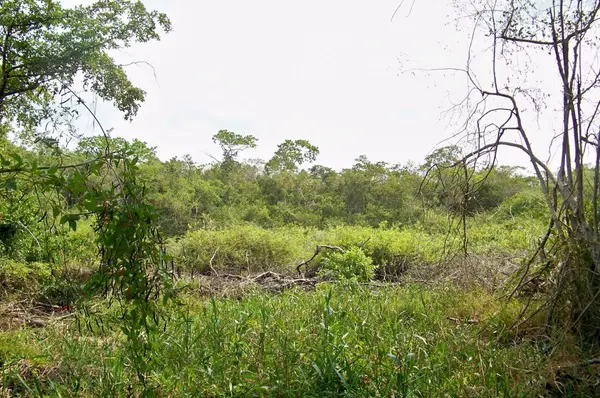 Belize District, Belize,