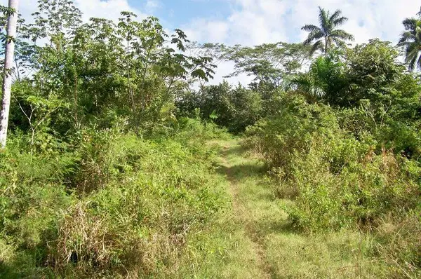 Belize District, Belize District,
