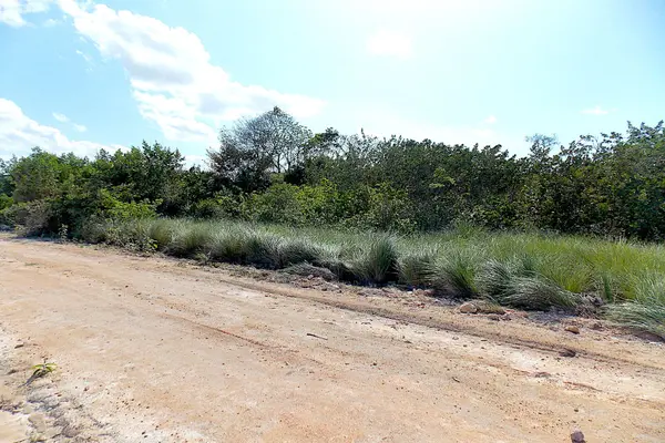 Mayan Sands, Corozal Bay,