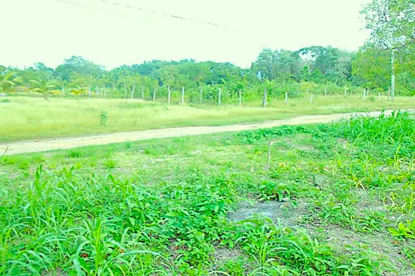 Turtle Lane, Finca Solana Area, Corozal