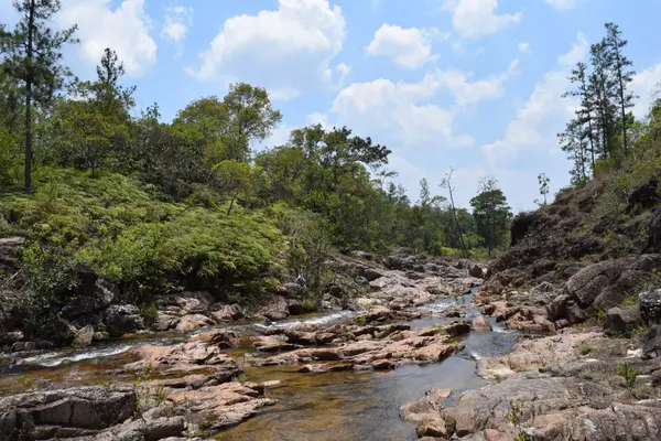 Privassion Creek, Blancaneaux Line, Pine Ridge