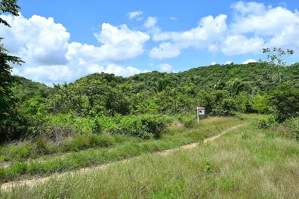 Pook's Hill St., Lomas De Las Flores,