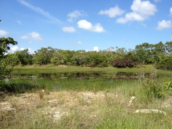 Ladyville, Belize District,