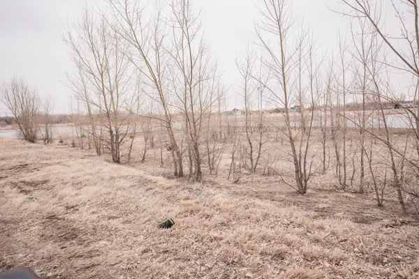 1531 L Road Lot 17 Echo Hawk, Central City, NE 68826