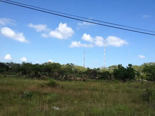 Ladyville, Belize District,