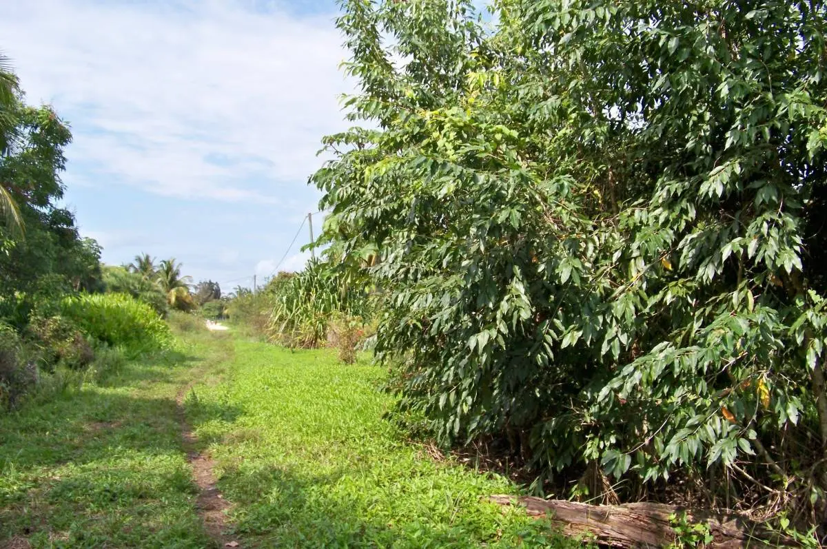Gales Point, Belize District,