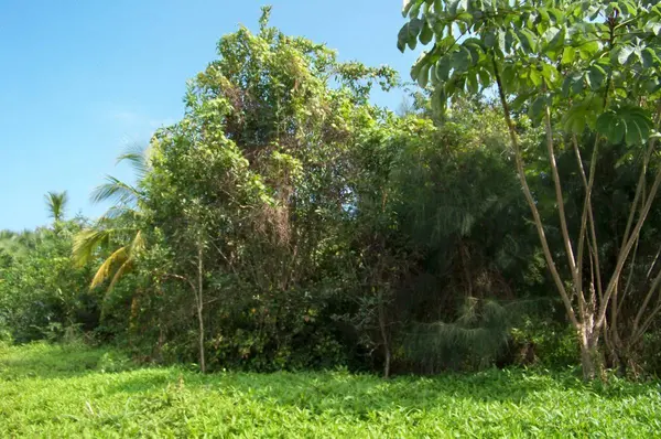 Gales Point, Belize District,