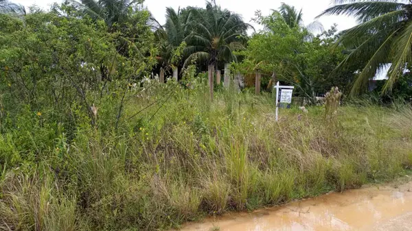 western pines, Belize District, District