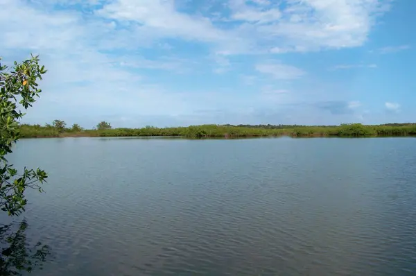 Gales Point, Belize District,
