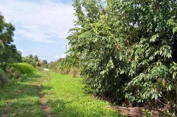 Gales Point, Belize District,