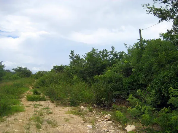Vista Del Mar, Belize District,