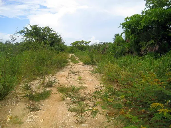 Vista Del Mar, Belize District,