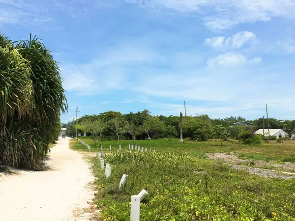 San Pedro Town, Ambergris Caye,