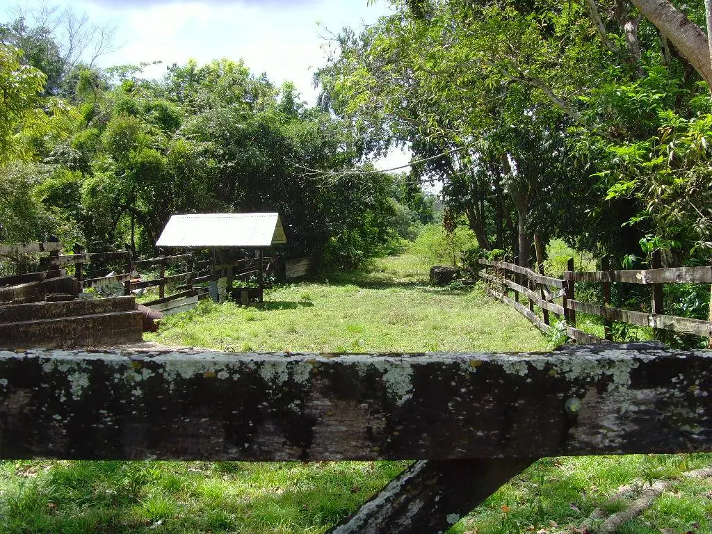 Ladyville, Belize District,