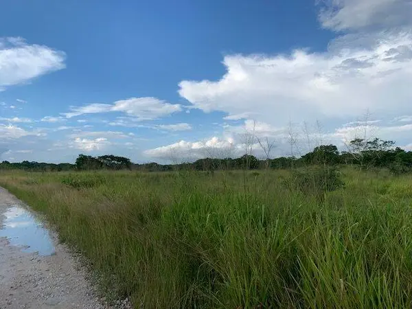 Rancho Dolores, Belize District,
