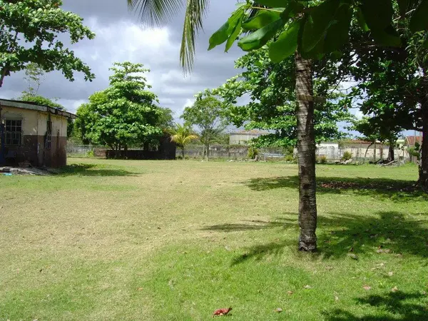 Ladyville, Belize District,