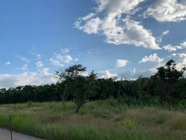 Rancho Dolores, Belize District,