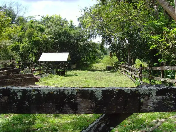 Ladyville, Belize District,