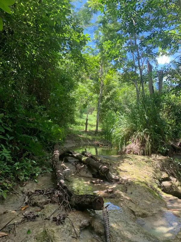 Belmopan, Cayo,
