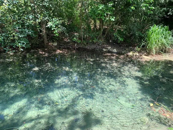 Belmopan, Cayo,