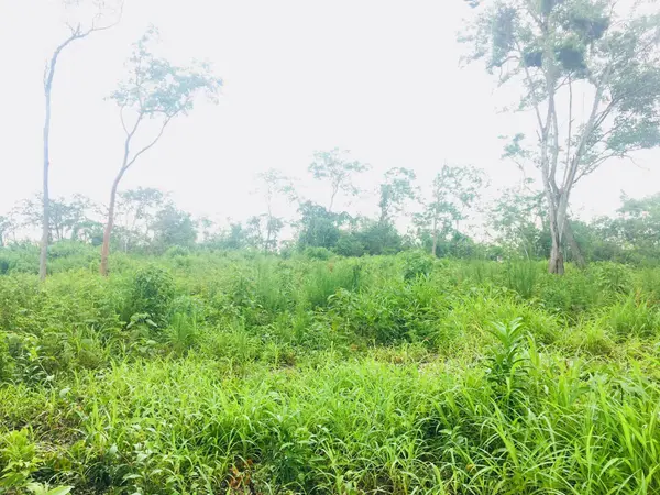 Cayo District, Cayo,