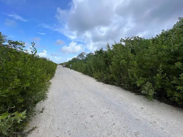 San Pedro Town, Ambergris Caye,