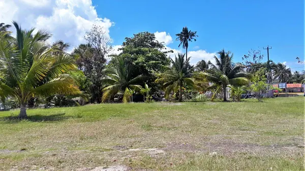 Corozal Town, Corozal,
