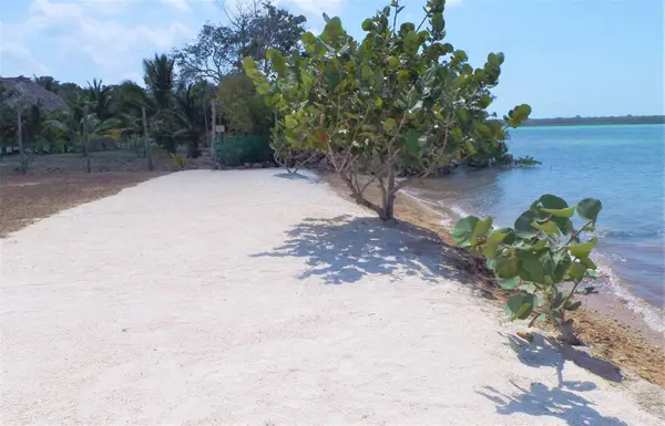 Sarteneja Village, Corozal,