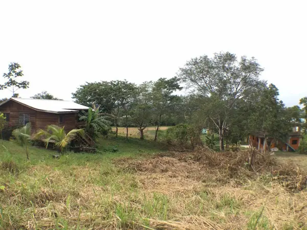 Eden Road, Santa Elena,