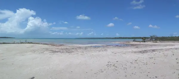 Sarteneja Village, Corozal,
