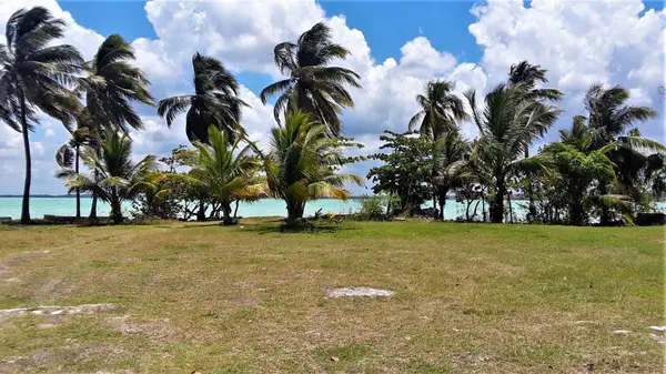 Corozal Town, Corozal,