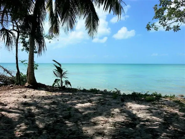 Sarteneja Village, Corozal,