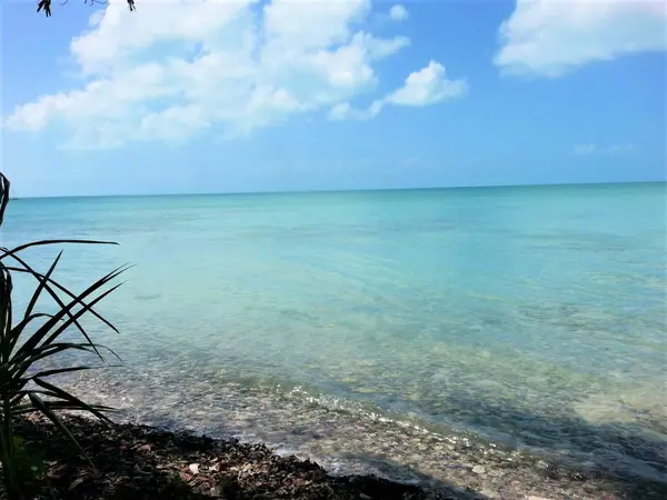 Sarteneja Village, Corozal,
