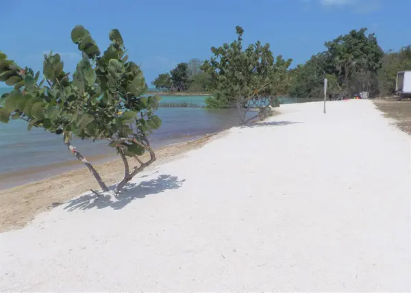 Sarteneja Village, Corozal,