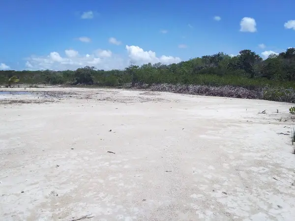 Sarteneja Village, Corozal,