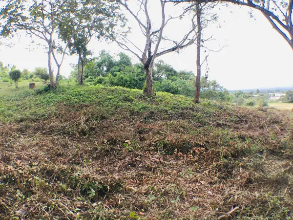 Eden Road, Santa Elena,