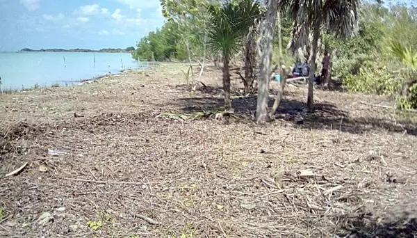 Sarteneja Village, Corozal,