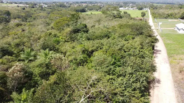 Santa Elena, Cayo,