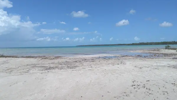 Sarteneja Village, Corozal,